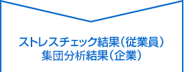 ストレスチェック・サポートサービスご利用の流れ・全体像